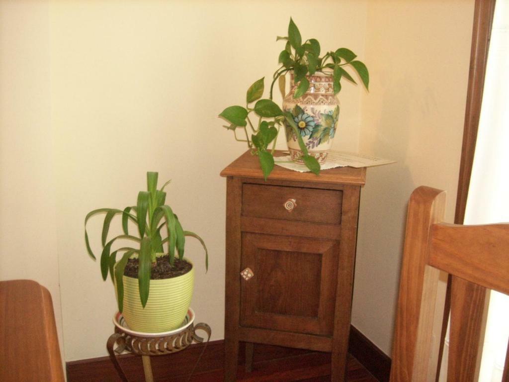 Pension Txomin Ostatua Etxebarria Extérieur photo